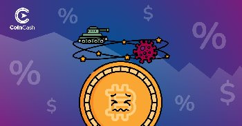 Bitcoin Hodler hírösszefoglaló - 15. hét